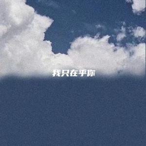 我只在乎你 (DJ版)
