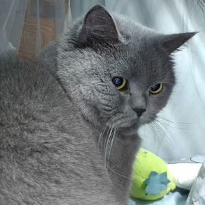 卡点热血超燃风（50买断）