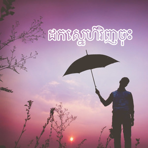 ដកស្នេហ៍វិញចុះ