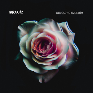 Gülüşünü Özledim (Original Mix)