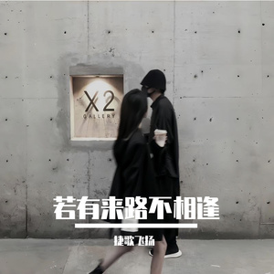 若有来路不相逢 伴奏