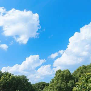 远山云雾绕青松