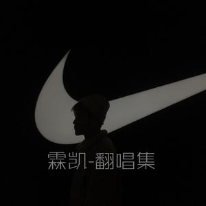 太多（抖音吉他版）