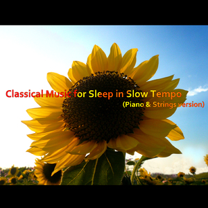 平均律クラヴィーア曲集 第1巻 第1番 前奏曲 ハ長調 BWV846 (ピアノ&ストリングス音色バージョン)