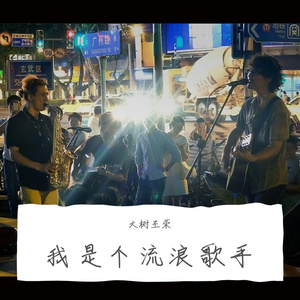 王荣-我是个流浪歌手