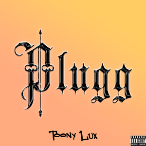 Plugg