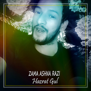 Zama Ashna Razi