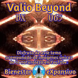 BX 065 Fuego interno