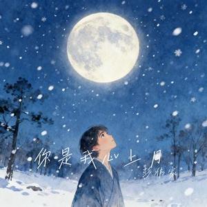你是我心上月