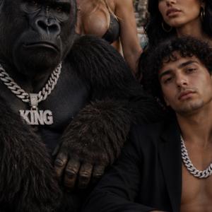 Gorilla