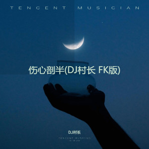 伤心剖半 (Remix)