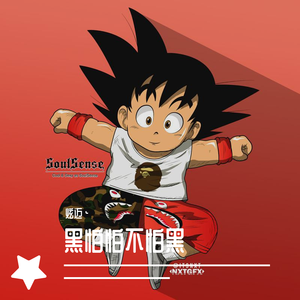 Follow me-Follow（炫迈丶 remix）