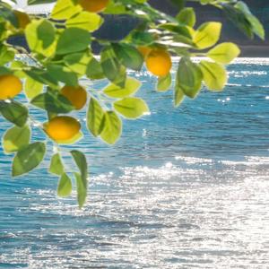 如果声音不记得