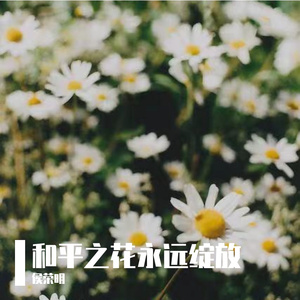 和平之花永远绽放PROD BY Woodsway