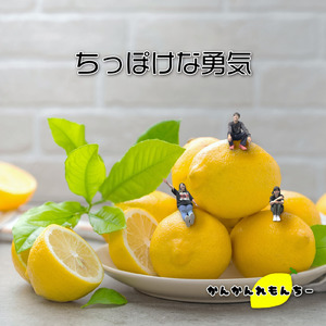 ちっぽけな勇気