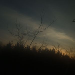 麦田里那懵懂的小男孩