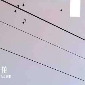 梦在黎明破晓时