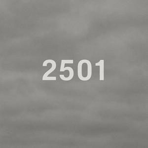 2501