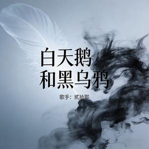 白天鹅与黑乌鸦