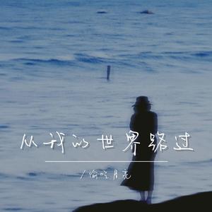 从我的世界路过