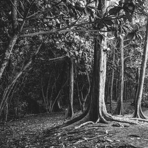 Dunkelheit (Acoustic)