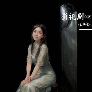 古筝版｜水调歌头《赘婿》插曲