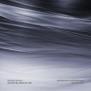 See the Sky About to Rain