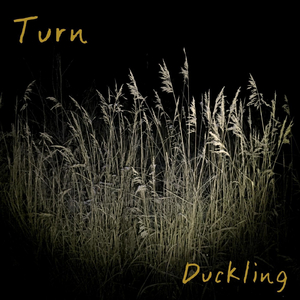 Turn