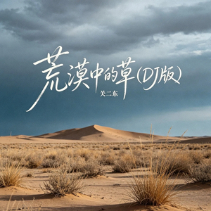 荒漠中的草(DJ版)