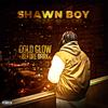Shawn Boy - Not Close (feat. LevyBandz)