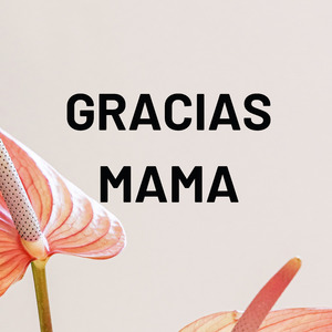 Gracias mama