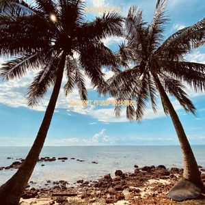 适合在家里工作温柔的音乐