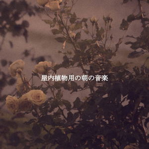 High Class Relaxing Together