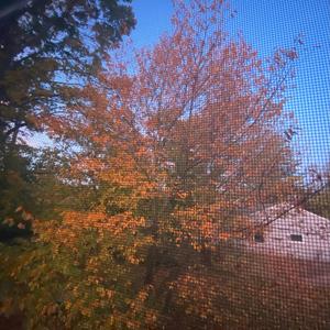 devil in miami (drum and bass)