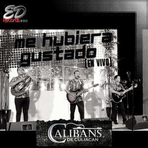 Me Hubiera Gustado (En Vivo)