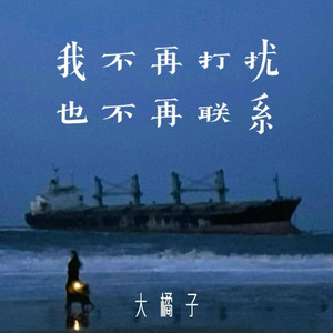 我不再打扰不再联系