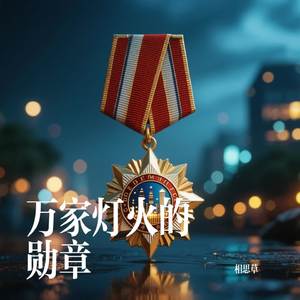 万家灯火的勋章