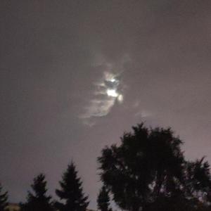 不想和你做朋友（翻自 小贱）