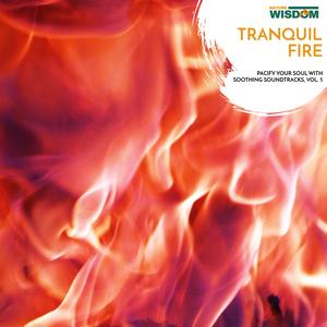 Waves of Summer Night Fire