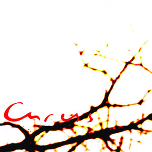 That's Why I Don't Wanna See You Again