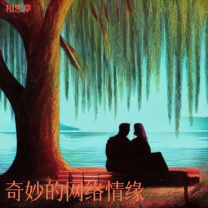 奇妙的网络情缘.wav