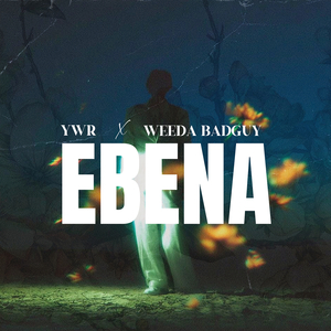 EBENA