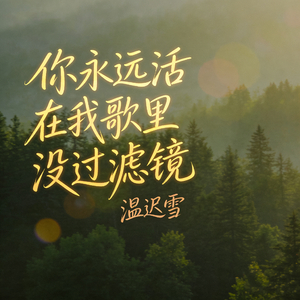 你永远活在我歌里没过滤镜(女声版)