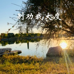 一开始说陪你到老的人 (DJ版)