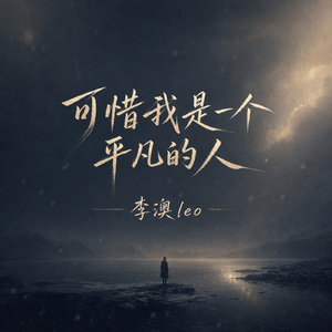 可惜我是一个平凡的人