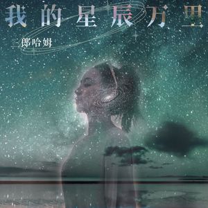 我的星辰万里