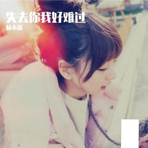 傻瓜不准难过（翻自 威仔）