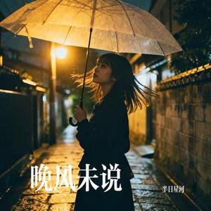 晚风未说