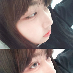 寂れた林の中の小屋