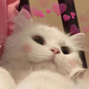 “8.14"（prod.by URBOIWHELAN)